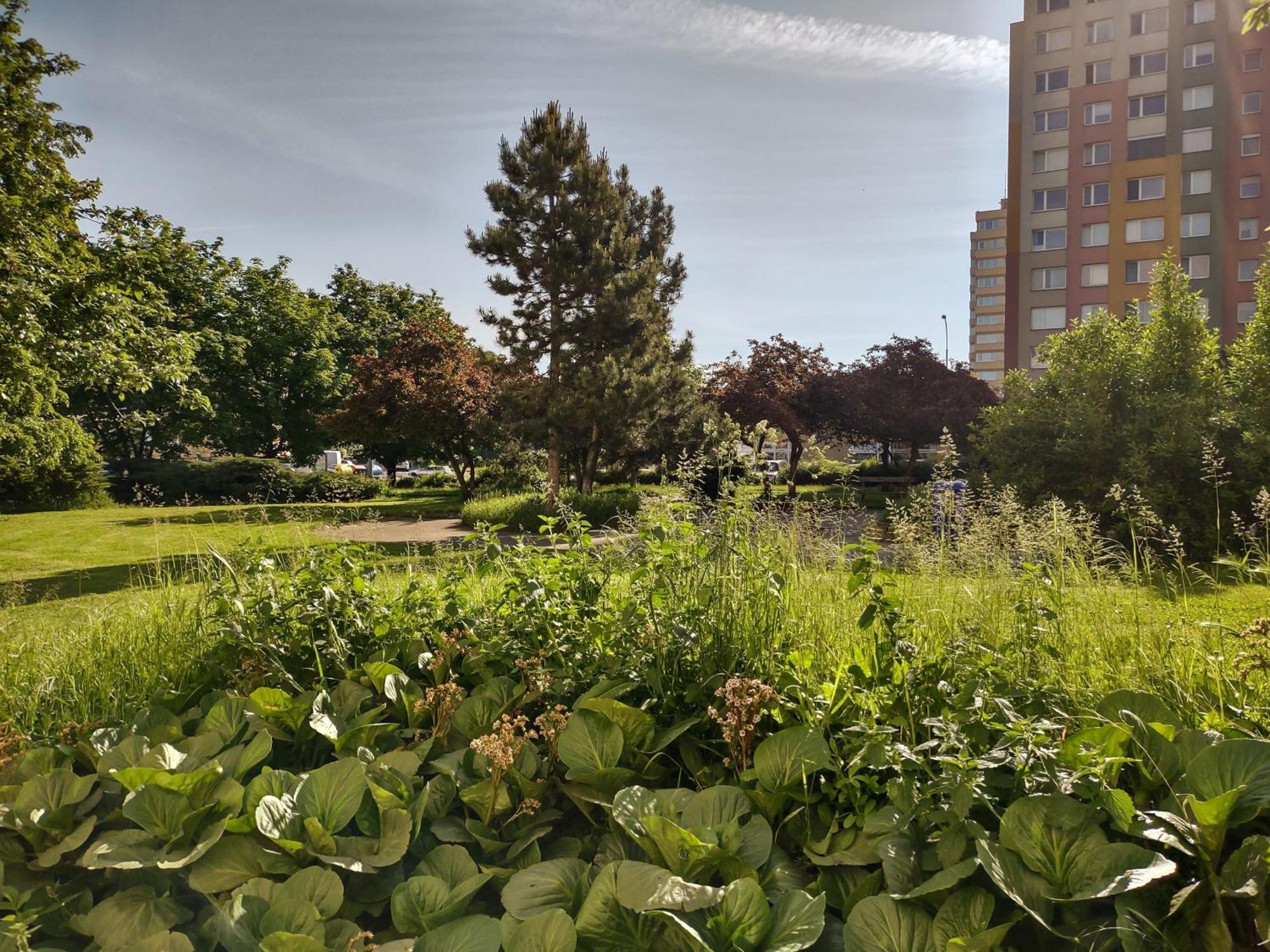University Hotel Πράγα Εξωτερικό φωτογραφία